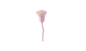 Rose Makeup Brush Pink