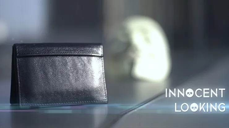 Viper Wallet